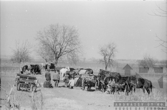 THM-BJ-01458 - Tamási, South Hungary, 1965