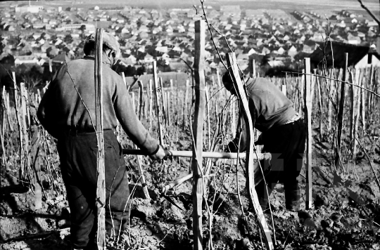 THM-BJ-01622 - Bonyhád, South Hungary, 1966