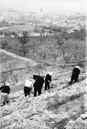 THM-BJ-01662 - Szekszárd, South Hungary, 1967 