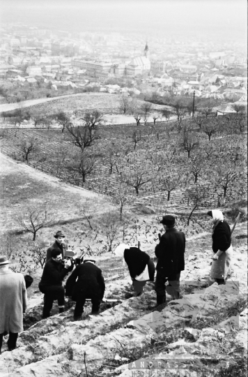 THM-BJ-01663 - Szekszárd, South Hungary, 1967 