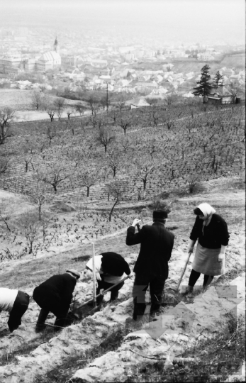 THM-BJ-01665 - Szekszárd, South Hungary, 1967 