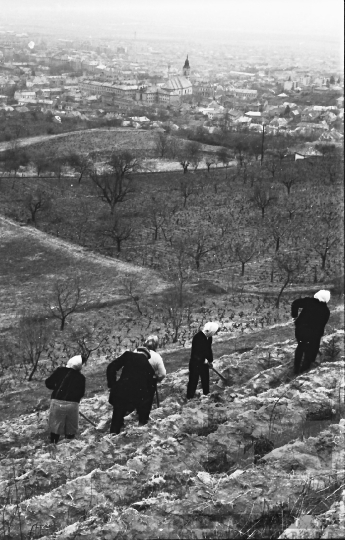 THM-BJ-01666 - Szekszárd, South Hungary, 1967 