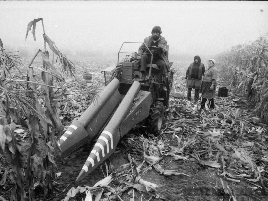 THM-BJ-02213 - Dalmand, South Hungary, 1983