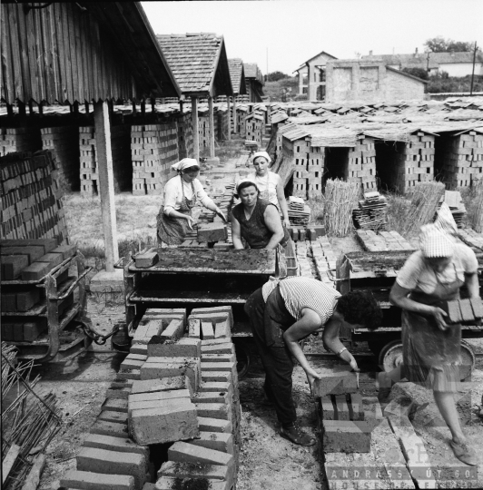 THM-BJ-02385 - Dombóvár, South Hungary, 1966