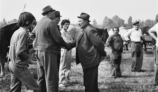 THM-BJ-02389 - Szekszárd, South Hungary, 1977