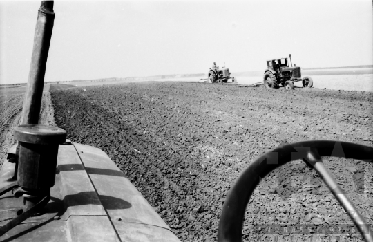 THM-BJ-02518 - Mözs, South Hungary, 1965 