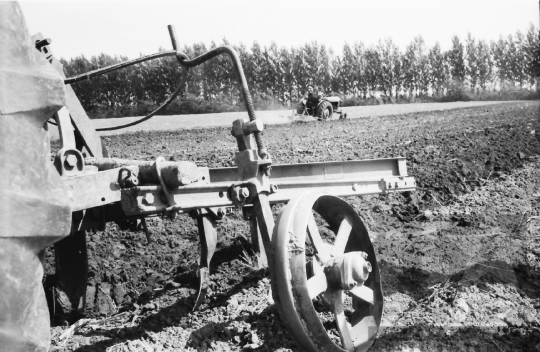 THM-BJ-02519 - Mözs, South Hungary, 1965 