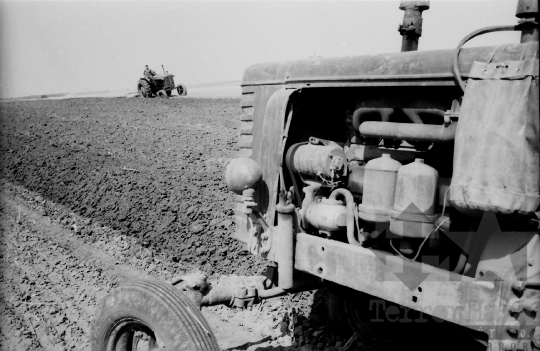 THM-BJ-02521 - Mözs, South Hungary, 1965 