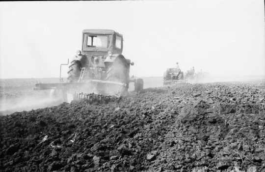 THM-BJ-02528 - Mözs, South Hungary, 1965 