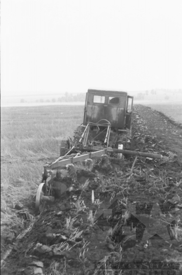 THM-BJ-02581 - Tamási, South Hungary, 1965 