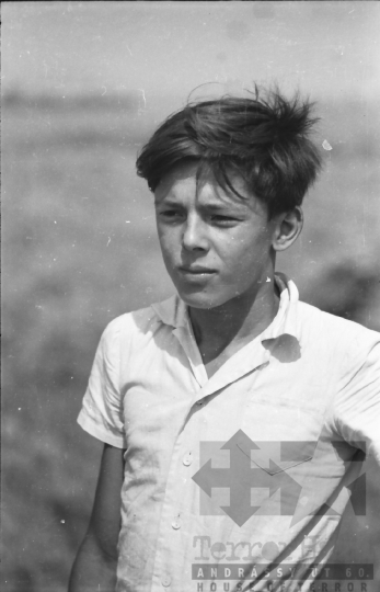 THM-BJ-02590 - Dunaszentgyörgy, South Hungary, 1965