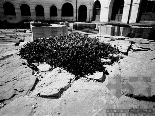 THM-BJ-03731 - Szekszárd, South Hungary, 1976