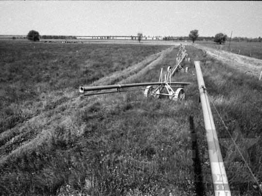 THM-BJ-03901 - Belecska, South Hungary, 1980