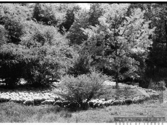 THM-BJ-03925 - Mőcsény, South Hungary, 1980