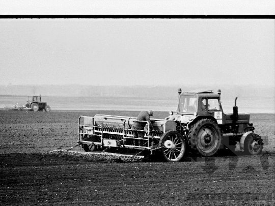 THM-BJ-04380 - Bátaszék, South Hungary, 1982