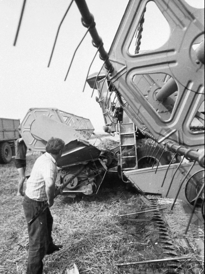 THM-BJ-04423 - Báta, South Hungary, 1985 