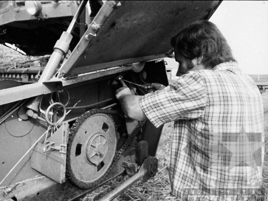 THM-BJ-04431 - Báta, South Hungary, 1985 