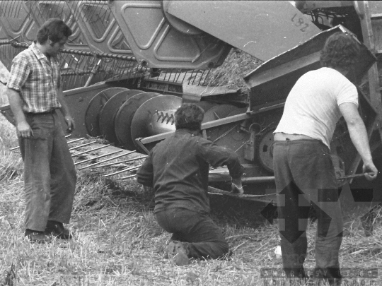 THM-BJ-04432 - Báta, South Hungary, 1985 