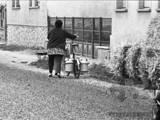 THM-BJ-04437 - Báta, South Hungary, 1985