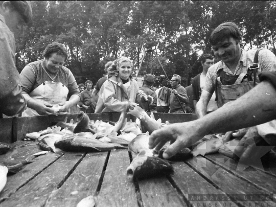 THM-BJ-04525 - Tamási, South Hungary, 1985