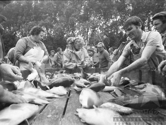 THM-BJ-04526 - Tamási, South Hungary, 1985