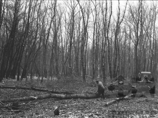 THM-BJ-04883 - Pörböly, South Hungary, 1976