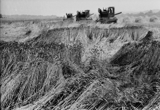 THM-BJ-05056 - Bonyhád, South Hungary, 1977 