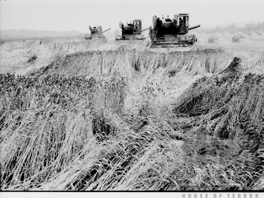 THM-BJ-05058 - Bonyhád, South Hungary, 1977 