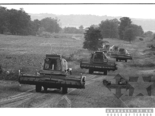 THM-BJ-05486 - Kajdacs, South Hungary, 1982 