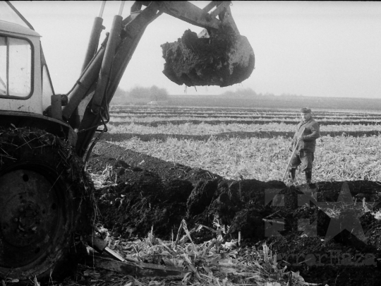 THM-BJ-05490 - Szekszárd, South Hungary, 1982 