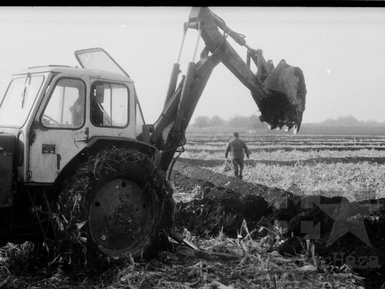 THM-BJ-05491 - Szekszárd, South Hungary, 1982 