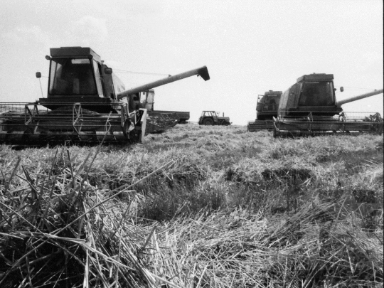 THM-BJ-05512 - Mórágy, South Hungary, 1983 