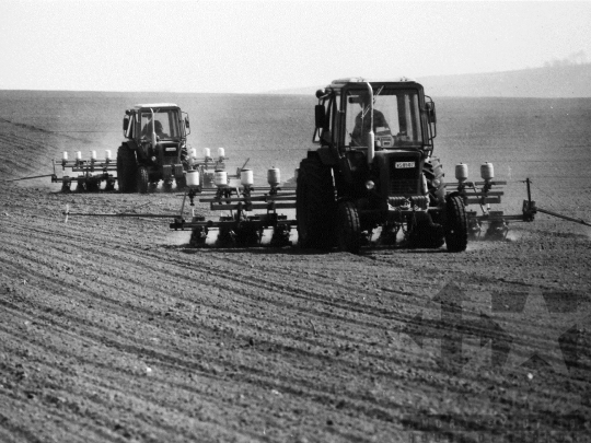 THM-BJ-05637 - Tamási, South Hungary, 1985 