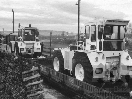 THM-BJ-06089 - Dalmand, South Hungary, 1977