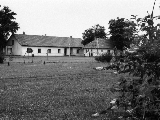 THM-BJ-06095 - Dalmand, South Hungary, 1977