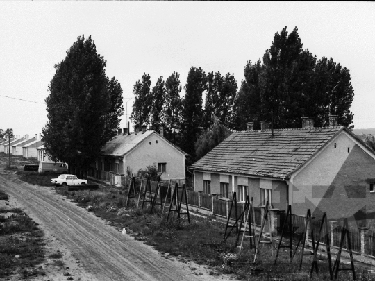 THM-BJ-06097 - Dalmand, South Hungary, 1977