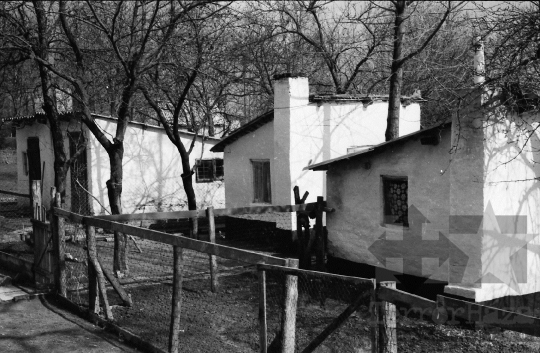 THM-BJ-06164 - Dalmand, South Hungary, 1976 