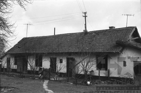 THM-BJ-06169 - Dalmand, South Hungary, 1976