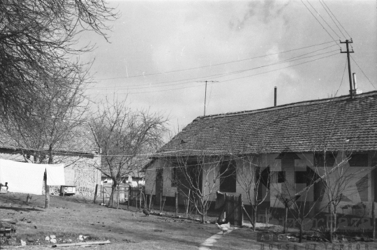 THM-BJ-06170 - Dalmand, South Hungary, 1976