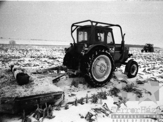 THM-BJ-06281 - Hőgyész, South Hungary, 1981 