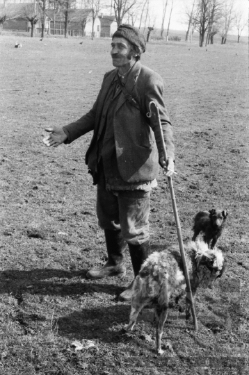 THM-BJ-06657 - Regöly, South Hungary, 1985