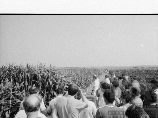 THM-BJ-06717 - Szekszárd, South Hungary, 1985