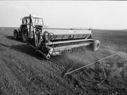 THM-BJ-06794 - Fadd, South Hungary, 1985 