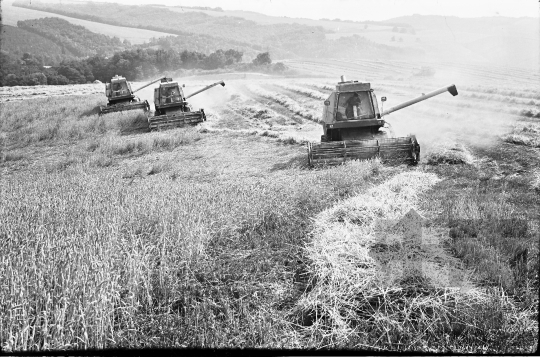 THM-BJ-07017 - Mórágy, South Hungary, 1988 