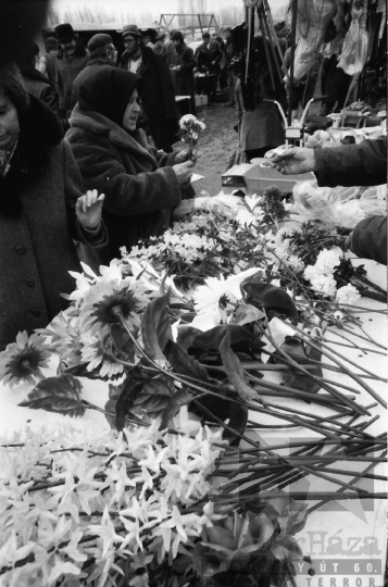 THM-BJ-07179 - Szekszárd, South Hungary, 1973