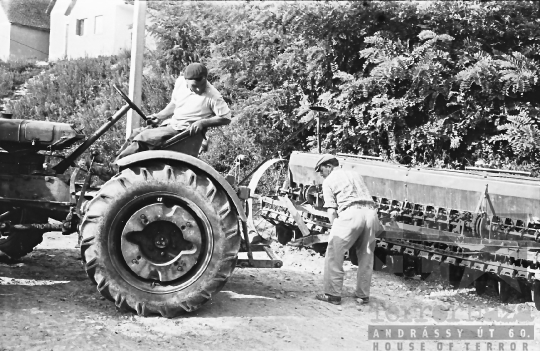 THM-BJ-07306 - Mórágy, South Hungary, 1965 