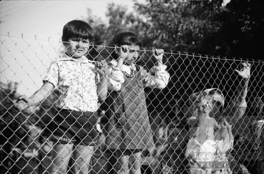 THM-BJ-07562 - Decs, South Hungary, 1976