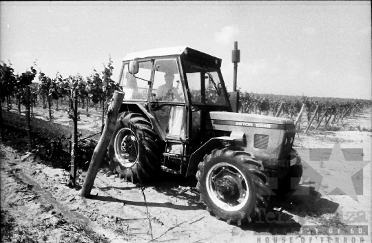 THM-BJ-07929 - Mőcsény, South Hungary, 1985