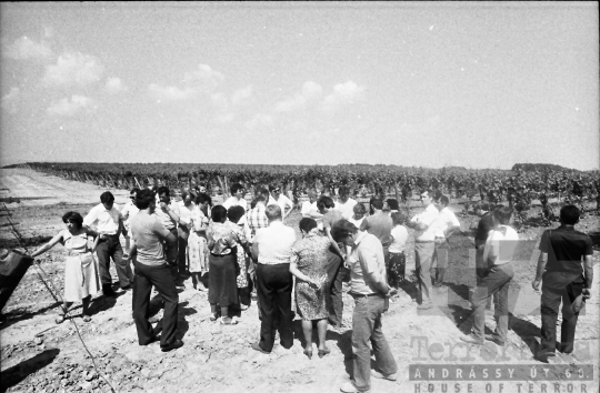 THM-BJ-07931 - Mőcsény, South Hungary, 1985