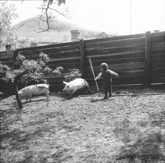 THM-BJ-08051 - Szekszárd, South Hungary, 1972